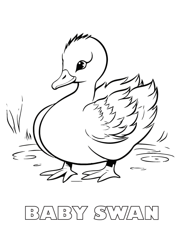 baby-swan coloring page