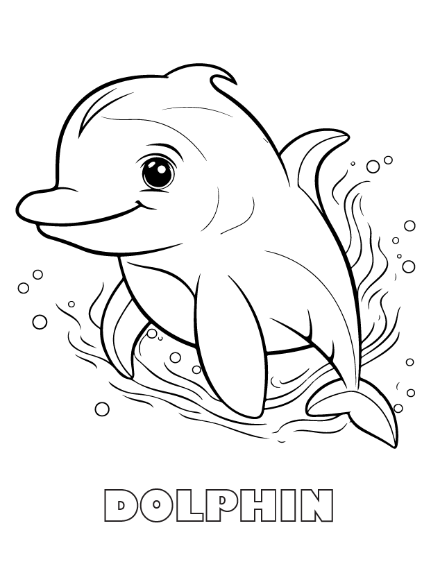 dolphin coloring page
