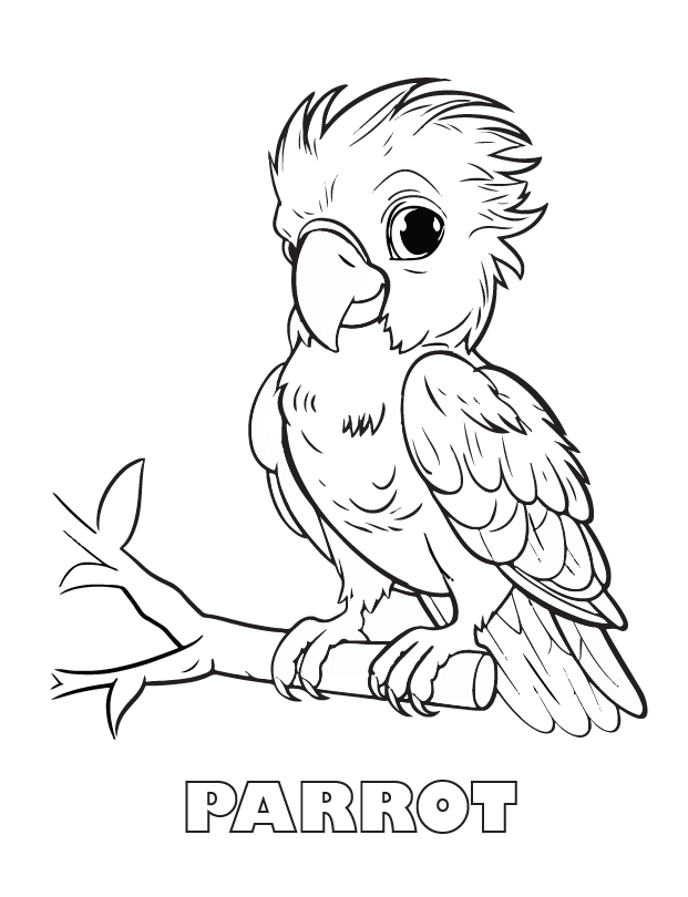 parrot coloring page
