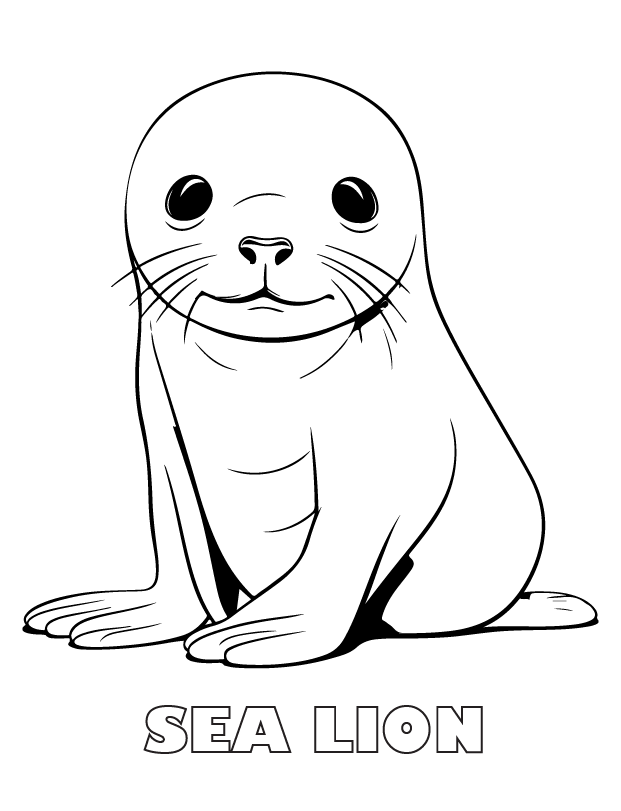 sea lion coloring page