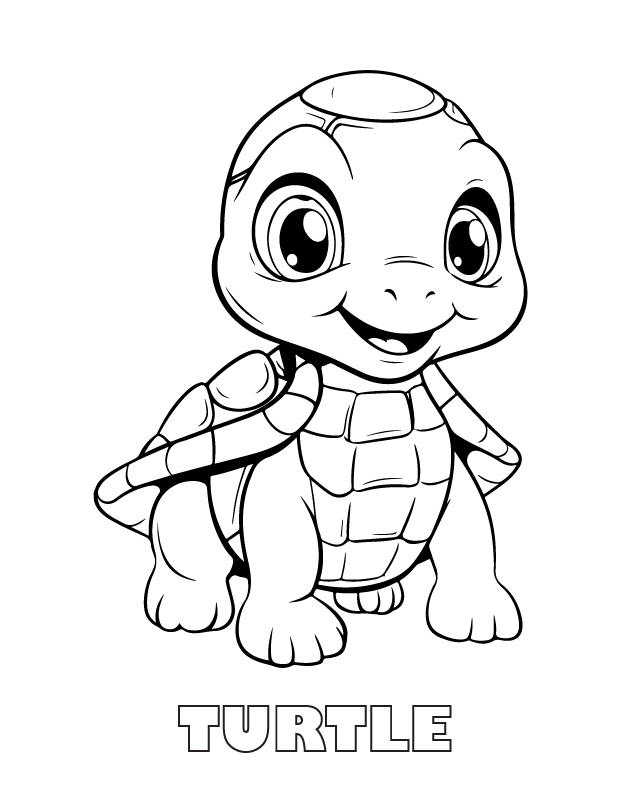 turtle coloring page